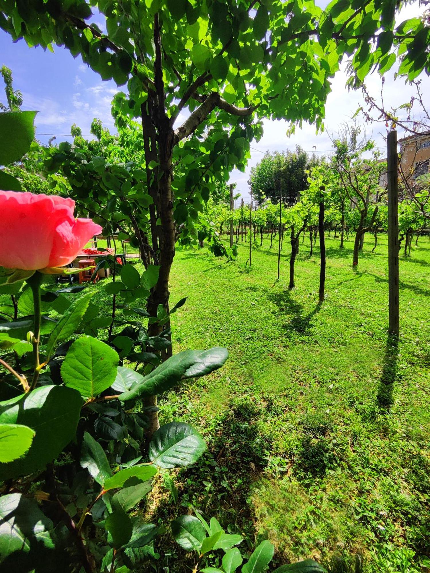 Bed & Breakfast Garda Relais Antica Romelia Montichiari